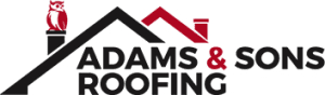logo-300x88